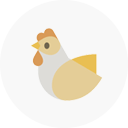 icon 1